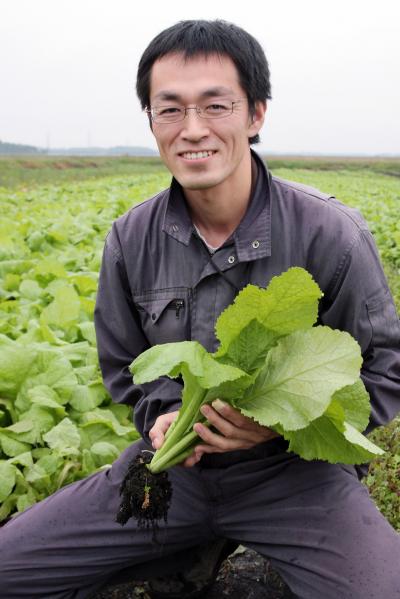 芭蕉菜の通年栽培を試みる、せいぶ農産ダイレクトの佐藤さん