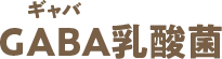 GABA乳酸菌