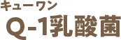 Q-1乳酸菌