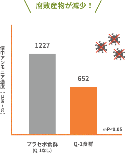 腐敗産物が減少！