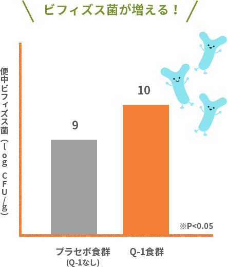 ビフィズス菌が増える！