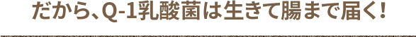 だから、Q-1乳酸菌は生きて腸まで届く！