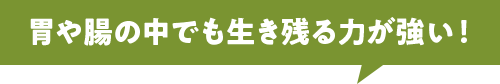 胃や腸の中でも生き残る力が強い！
