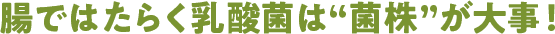 腸ではたらく乳酸菌は“菌株”が大事！