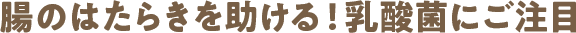腸のはたらきを助ける！乳酸菌にご注目
