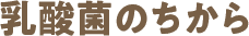 乳酸菌のちから