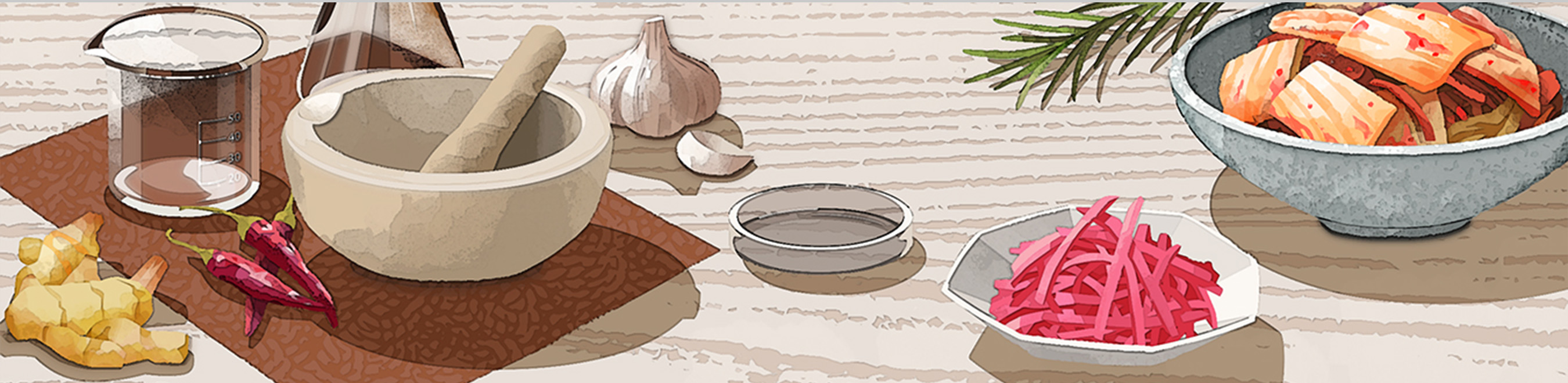 乳酸菌は“菌株”が大事！