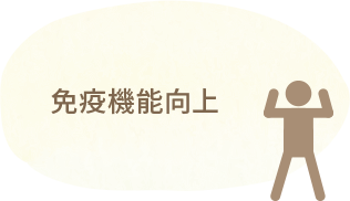 免疫機能向上