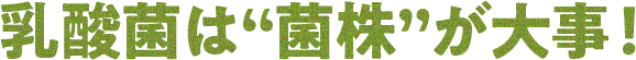 乳酸菌は“菌株”が大事！