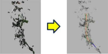 図1 取得画像から動作経路を生成した例の写真