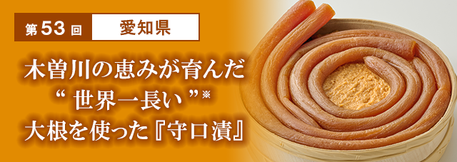 第53回　愛知県