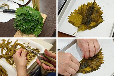 上段左／しその大きさを揃え、束ねるための道具は手作り。工夫が光る<br />
上段右／塩漬けのしそを広げ、あん(詰め物)となる小さな葉をのせる<br />
下段左／塩漬けした日光唐辛子のタネを取り、タテふたつに割く<br />
下段右／割いた唐辛子を三切れのせたしそを、端から隙間なく巻いていく