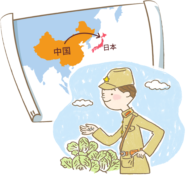 画像:白菜の生まれ故郷