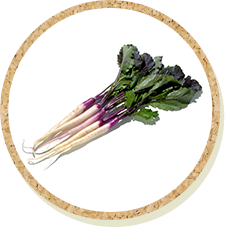 画像：日野菜