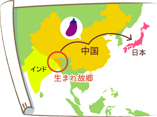 画像:なすの生まれ故郷