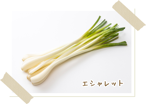 画像：エシャレット