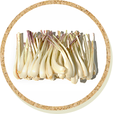 画像：島らっきょう