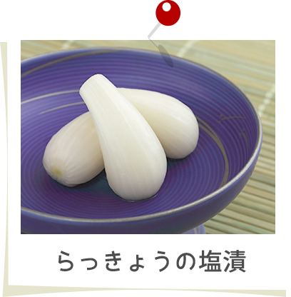らっきょうの塩漬